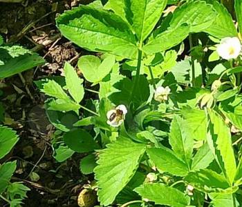 Продается Дом, 45 м²