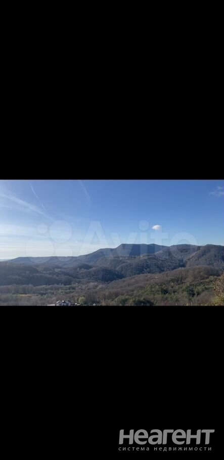 Фотография №2