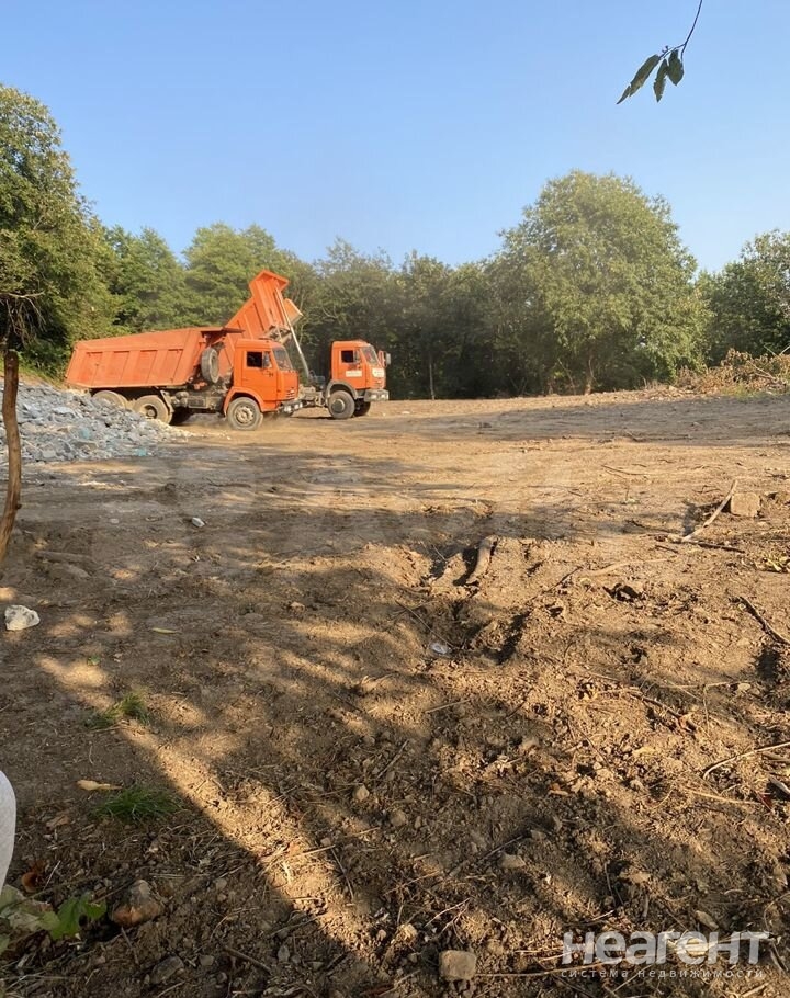 Фотография №3