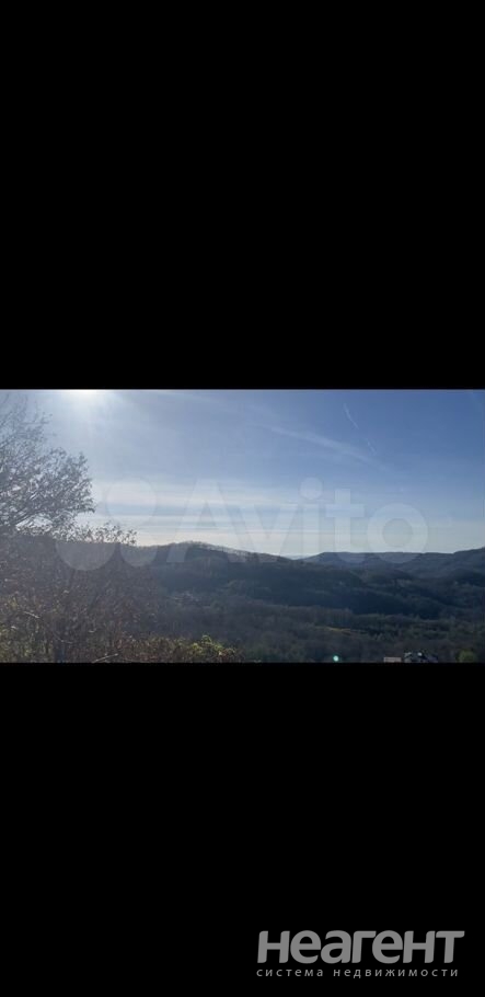 Фотография №5