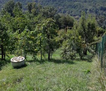 Продается Участок, 500 м²