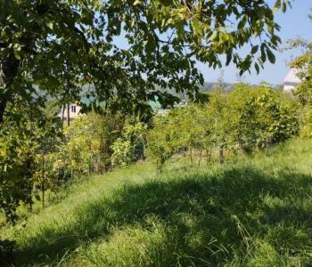 Продается Участок, 500 м²