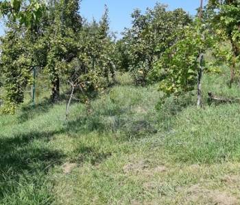 Продается Участок, 500 м²