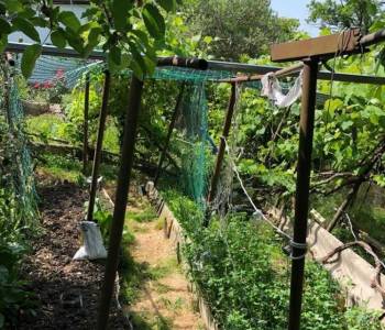 Продается Участок, 500 м²