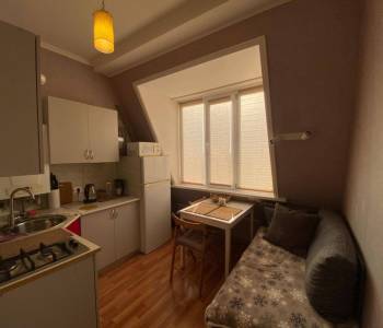 Продается 1-комнатная квартира, 25,6 м²