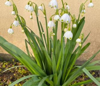 Продается Дом, 0 м²