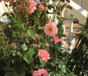 Продается Дом, 0 м²