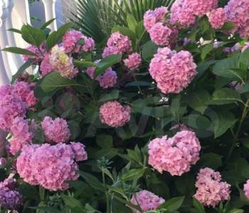 Продается Дом, 0 м²