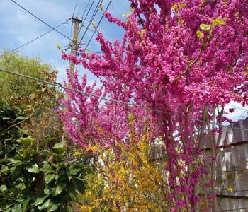 Продается Дом, 212 м²