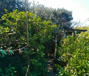 Продается Дом, 100 м²