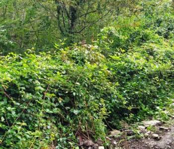 Продается Участок, 0 м²