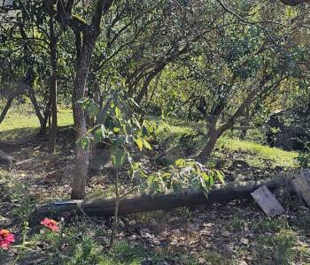 Продается Участок, 600 м²