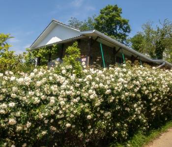 Продается Дом, 100 м²