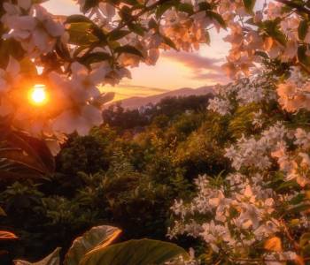 Продается Дом, 100 м²