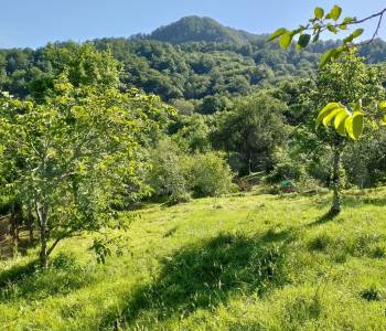 Продается Участок, 2000 м²