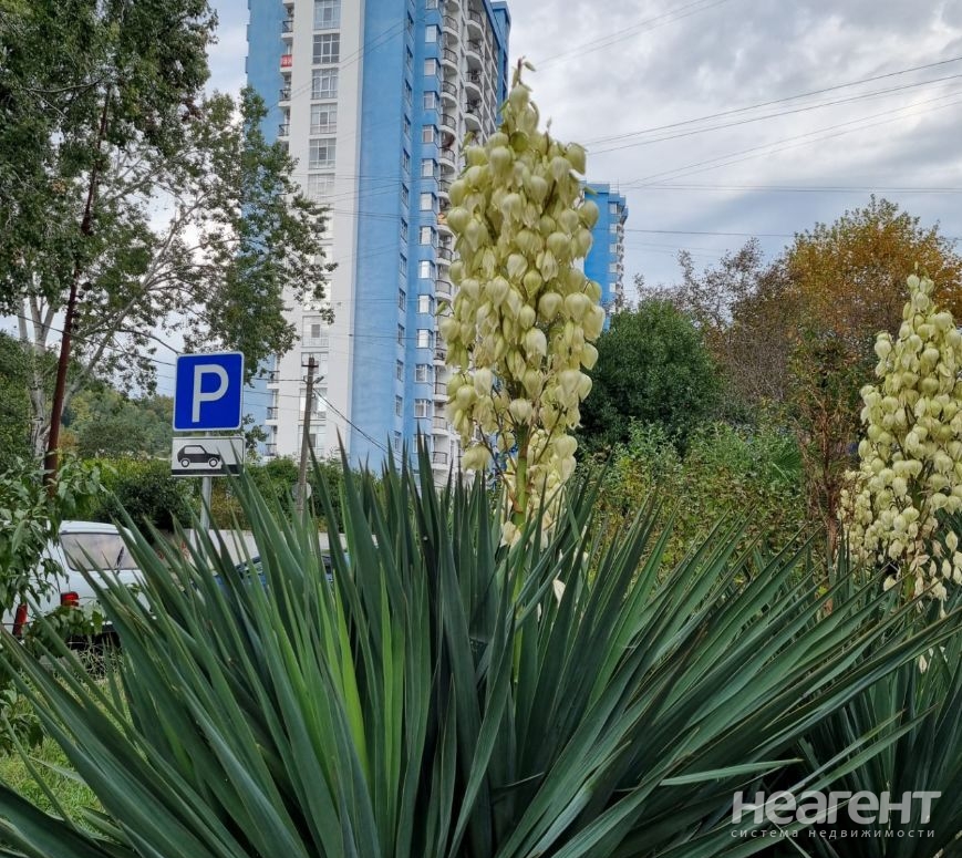 Продается 1-комнатная квартира, 32,8 м²