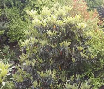 Продается 1-комнатная квартира, 36 м²