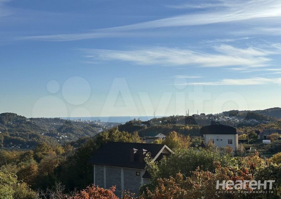 Фотография №5