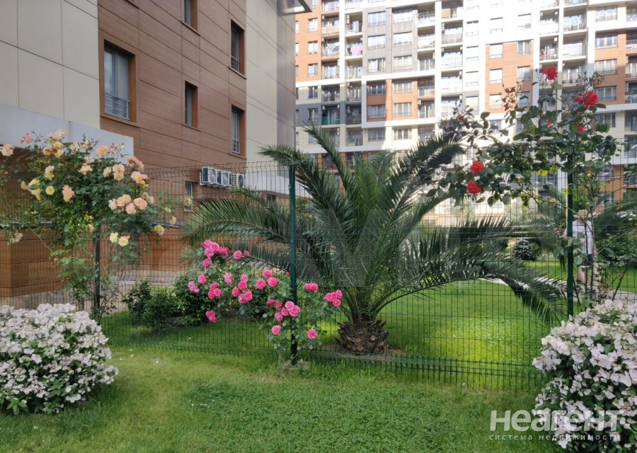 Сдается 1-комнатная квартира, 24 м²