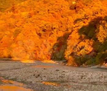 Продается 3-х комнатная квартира, 74 м²