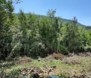 Продается Участок, 640 м²