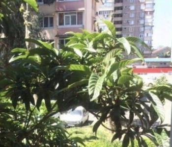 Продается 3-х комнатная квартира, 73 м²