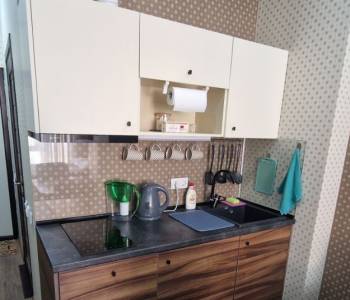 Продается 1-комнатная квартира, 24,3 м²