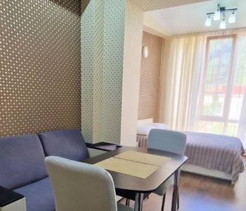 Продается 1-комнатная квартира, 24,3 м²