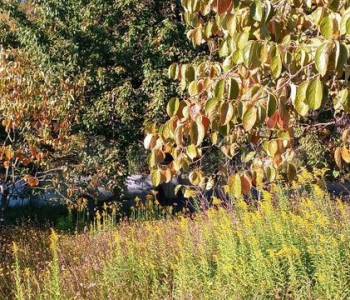 Продается Участок, 2000 м²