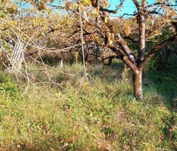 Продается Участок, 2000 м²