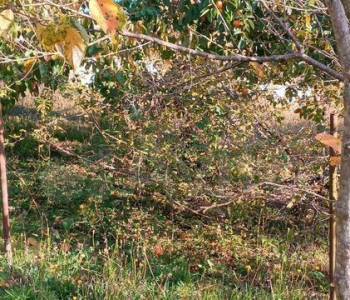 Продается Участок, 2000 м²