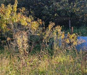 Продается Участок, 2000 м²