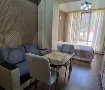 Продается 1-комнатная квартира, 24,3 м²