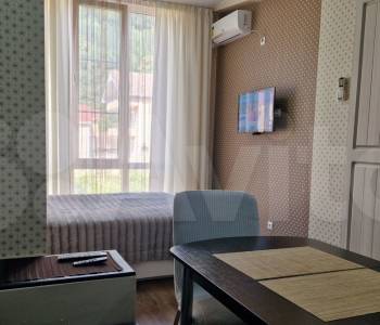 Продается 1-комнатная квартира, 24,3 м²