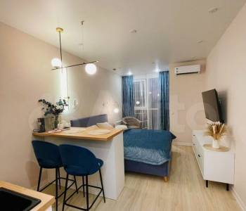 Сдается 1-комнатная квартира, 24,1 м²