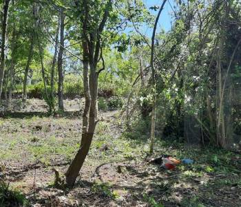 Продается Участок, 570 м²