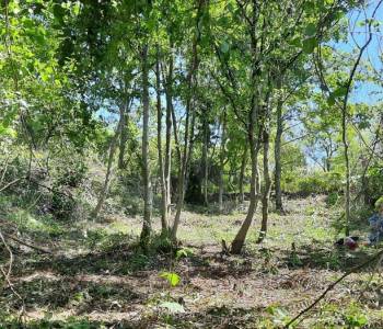 Продается Участок, 570 м²