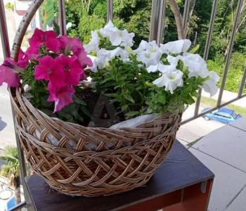 Продается 3-х комнатная квартира, 60 м²