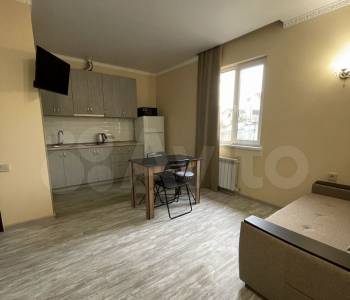 Сдается 1-комнатная квартира, 25 м²