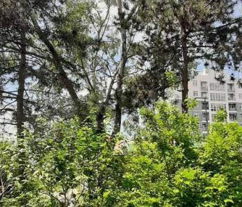 Продается 1-комнатная квартира, 32 м²