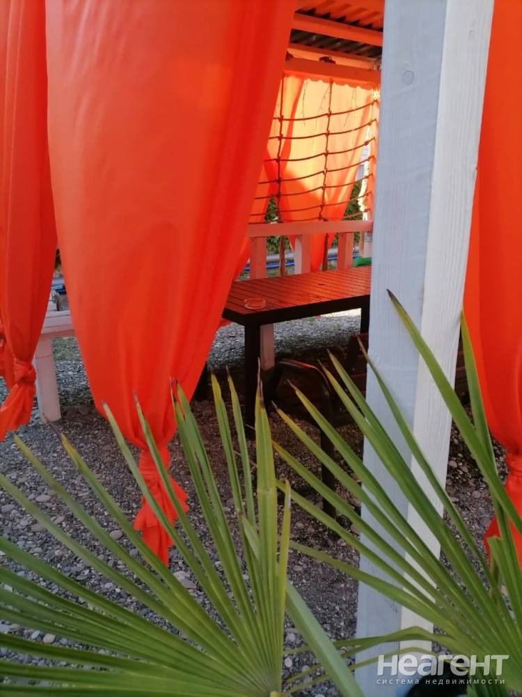 Фотография №10