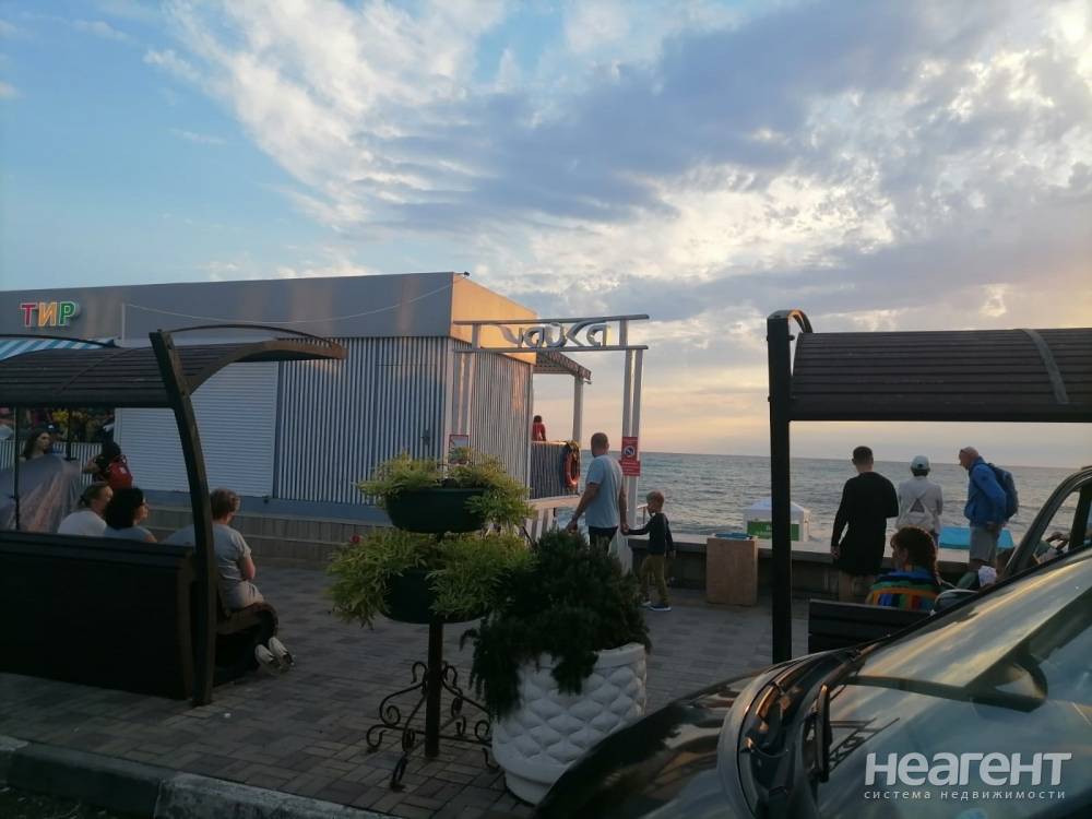 Фотография №11