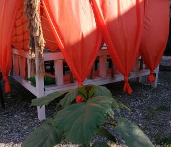 Сдается Посуточно, 42 м²