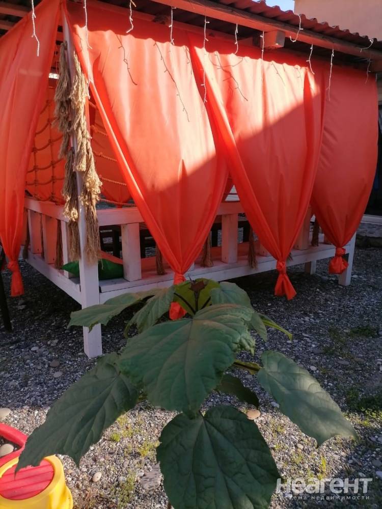 Фотография №8