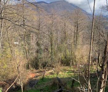 Продается Участок, 670 м²