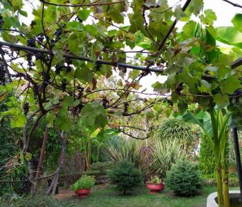 Продается Дом, 85 м²