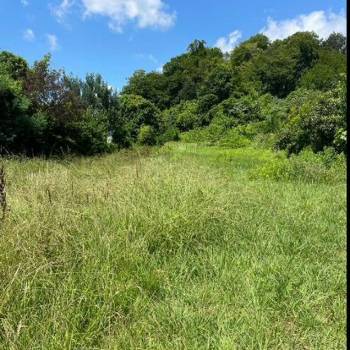 Продается Участок, 1200 м²