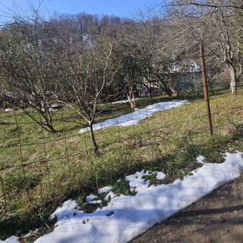 Продается Участок, 570 м²