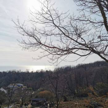 Продается Участок, 2200 м²