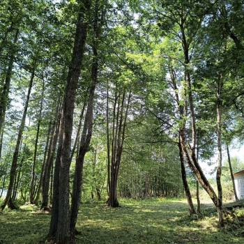 Продается Участок, 1940 м²